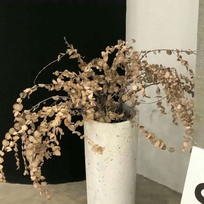 兽设比例设计入门福瑞交流群